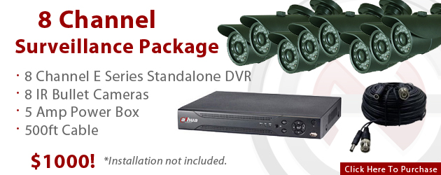 8 Channel DVR and 8 IR Bullet Camera Package