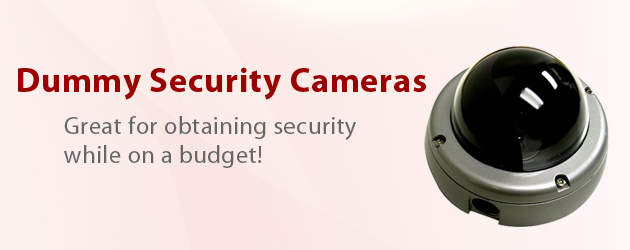 Dummy Security Cameras