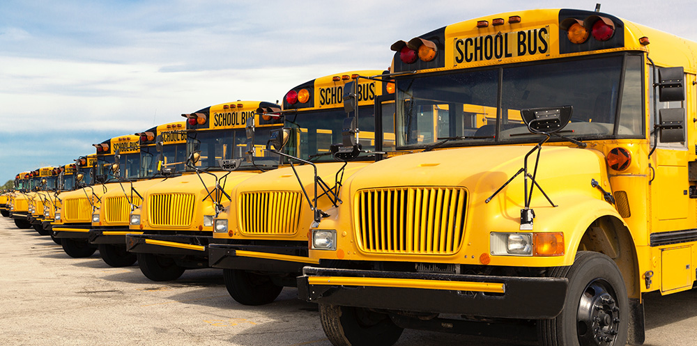 A row of school buses, parked side by side